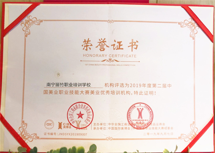 美業(yè)優(yōu) 秀培訓(xùn)機(jī)構(gòu) | 2019年度第二屆中國(guó)美業(yè)職業(yè)技能大賽