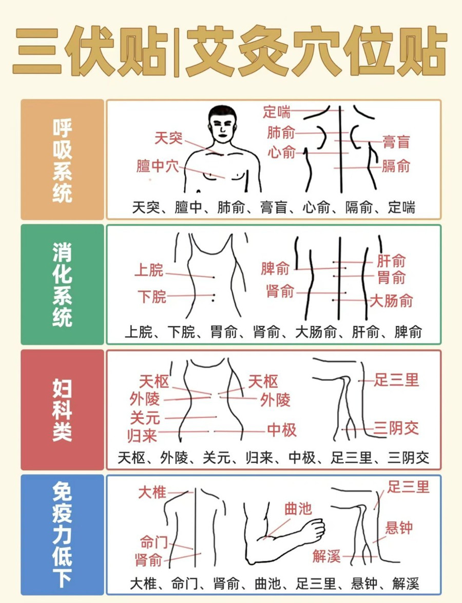 1719973853823580.jpg 101.jpg