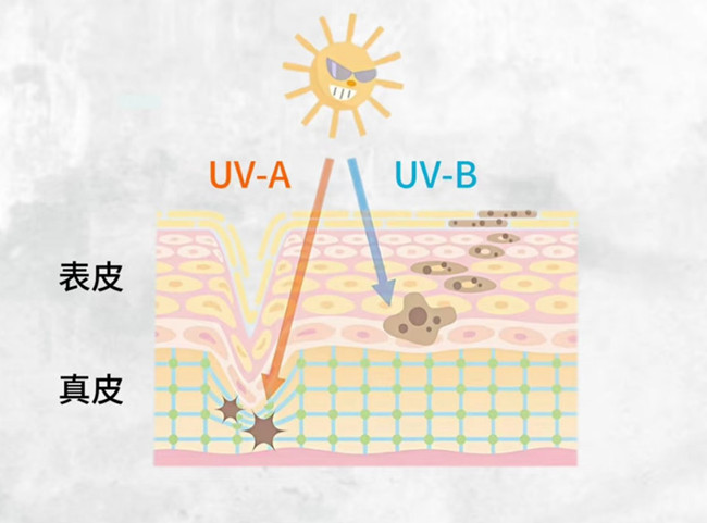 物理防曬和化學(xué)防曬怎么選？廣西皮膚管理美容